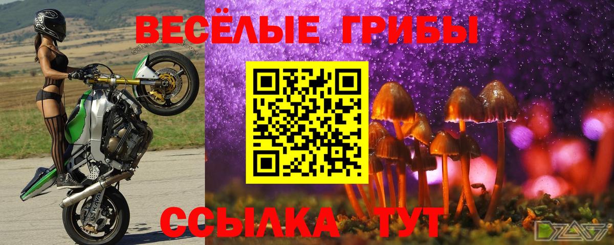 Кинель  Галлюциногенные грибы Magic Shrooms  купить наркотики сайты  Псилоцибиновые грибы мицелий  Вход с VPN 